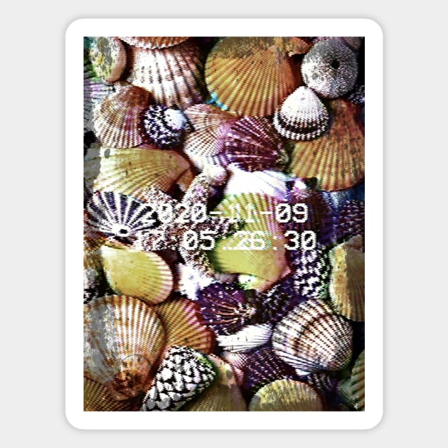 Glitch art Seashells Magnet by Digital GraphX